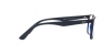 RX7203L Eyeglasses