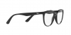 RX7203L Eyeglasses