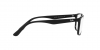 RX7207L Eyeglasses