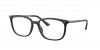 RX7245L Eyeglasses