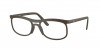 RX7254 Eyeglasses