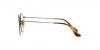 RX8247V Round Eyeglasses