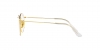 RX8247V Round Eyeglasses