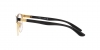 RX8422 Eyeglasses