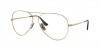 RX8789 Aviator Titanium Eyeglasses
