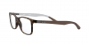 RX8903 Eyeglasses