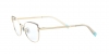 0TF1136 6133 OPTICAL