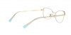 0TF1136 6133 OPTICAL