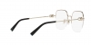 TF1153D Eyeglasses
