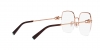 TF1153D Eyeglasses