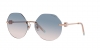 TF3077 Sunglasses