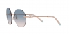 TF3077 Sunglasses