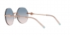 TF3077 Sunglasses
