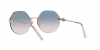 TF3077 Sunglasses