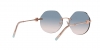 TF3077 Sunglasses