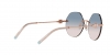 TF3077 Sunglasses