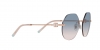 TF3077 Sunglasses
