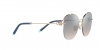TF3082 Sunglasses