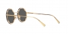 TF3091 Sunglasses