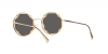 TF3091 Sunglasses