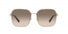 TF3093D Sunglasses