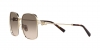 TF3093D Sunglasses