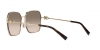 TF3093D Sunglasses