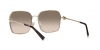 TF3093D Sunglasses