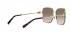 TF3093D Sunglasses