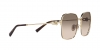 TF3093D Sunglasses