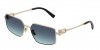 TF3111 Sunglasses