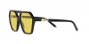 TF4198 Sunglasses