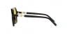 TF4198 Sunglasses