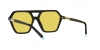TF4198 Sunglasses