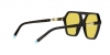 TF4198 Sunglasses