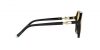 TF4198 Sunglasses