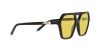 TF4198 Sunglasses