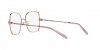 TY1079 Eyeglasses