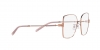 TY1079 Eyeglasses