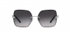 TY6080 Sunglasses