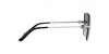 TY6080 Sunglasses