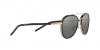 TY6089 Sunglasses