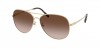 TY6114 Sunglasses