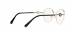 VE1273D Eyeglasses