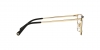 VE1275 Eyeglasses