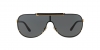 VE2140 Sunglasses