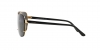 VE2140 Sunglasses