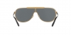 VE2140 Sunglasses