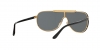 VE2140 Sunglasses