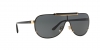 VE2140 Sunglasses